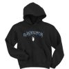 Aspects hoodie