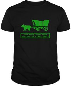 You Have Died From Walking On Csmaes Grass t shirt