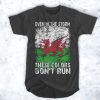 Even In The Storm These Colors Don't Run t shirt