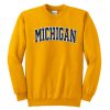 Michigan sweatshirt