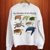 Sea Turtles Of The World sweatshirt