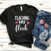 Teaching my Flock t shirt