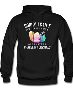 Crystals hoodie